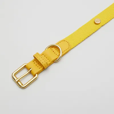 Barkalot Collier pour Chien Jaune