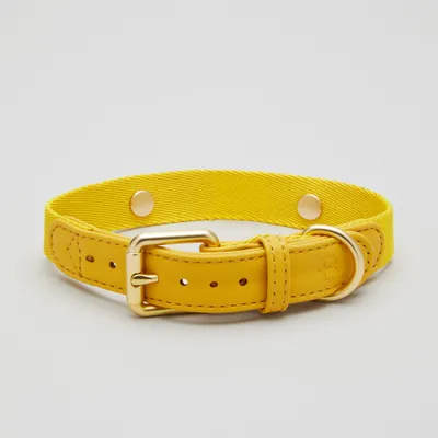 Barkalot Collier pour Chien Jaune