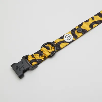 Barkalot Collier pour Chien Leo