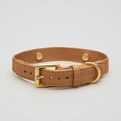 Barkalot Collier pour Chien Beige