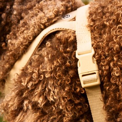 Barkalot Harnais pour chien de sable