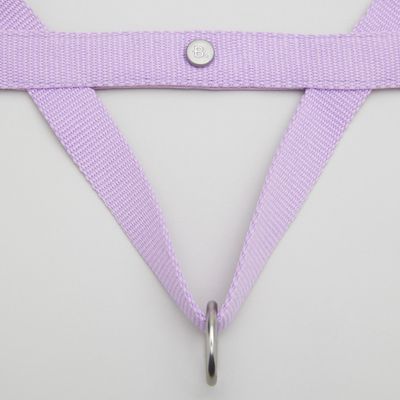 Barkalot Harnais pour Chien Lilas