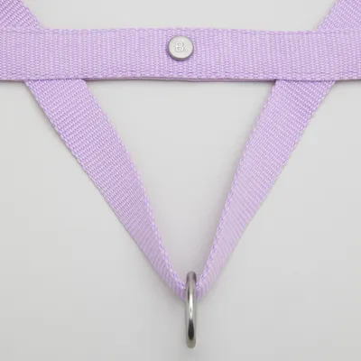 Barkalot Harnais pour Chien Lilas