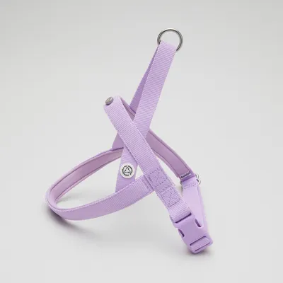 Barkalot Harnais pour Chien Lilas