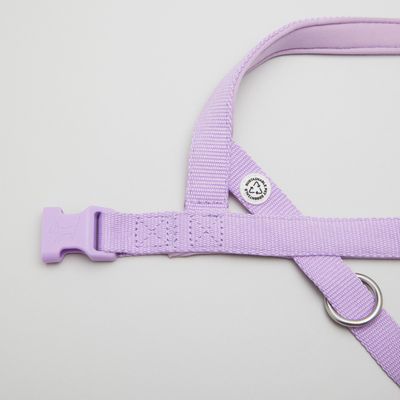 Barkalot Harnais pour Chien Lilas