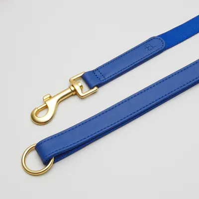 Barkalot Laisse pour Chien Bleue