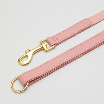 Barkalot Laisse Pour Chien Rose
