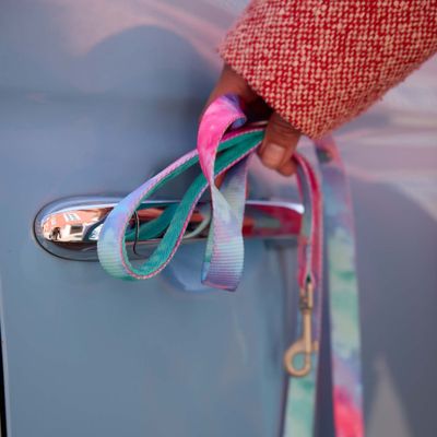 Barkalot Laisse multi-chien tie-dye