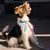 Barkalot Laisse multi-chien tie-dye Barkalot Laisse multi-chien tie-dye