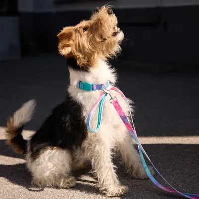 Barkalot Laisse multi-chien tie-dye Barkalot Laisse multi-chien tie-dye