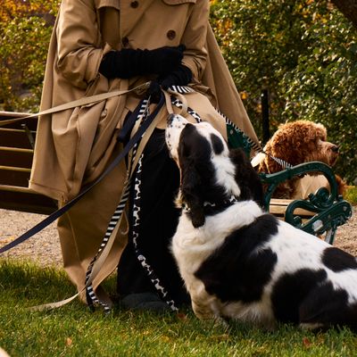 Barkalot Laisse pour chien de vache