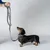 Barkalot Laisse pour chien zèbre