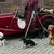 Barkalot Laisse pour chien de sable