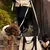Barkalot Laisse pour chien de sable