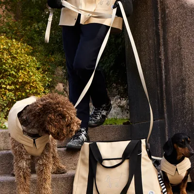Barkalot Laisse pour chien de sable