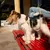 Barkalot Laisse pour chien de sable