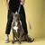 Barkalot Laisse pour chien lilas Barkalot Laisse pour chien lilas