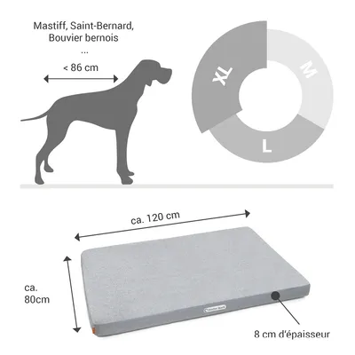 Doctor Bark Matelas orthopédique pour chien Doctor Bark Matelas orthopédique pour chien
