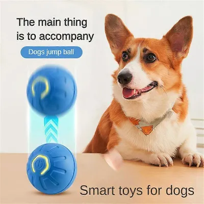 MCBOSON Circuit chien-chat-ball MCBOSON Circuit chien-chat-ball