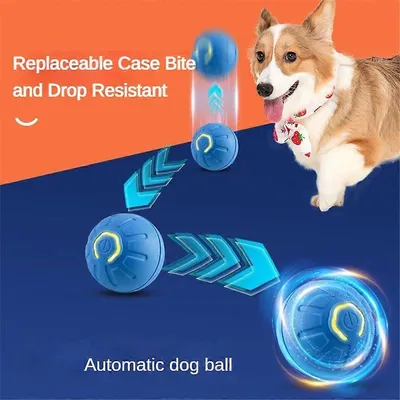 MCBOSON Circuit chien-chat-ball MCBOSON Circuit chien-chat-ball