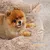 MCBOSON Lit antidérapant pour chien