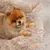 MCBOSON Rutschfestes Hundebett