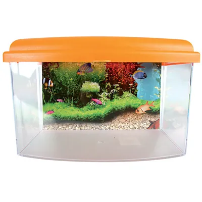 zolux - Aqua travel box II, Médium, taille 28 x 20 x H 17 cm, pour poisson