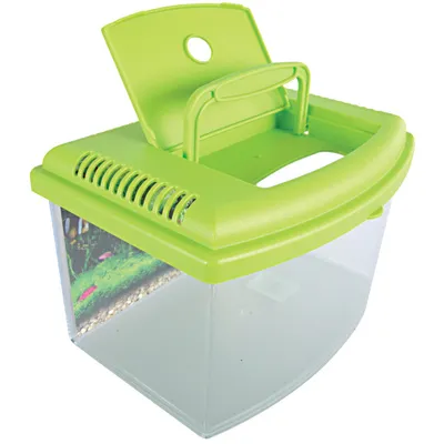 zolux - Aqua travel box II, Médium, taille 28 x 20 x H 17 cm, pour poisson