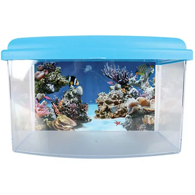 zolux - Aqua travel box II, Médium, taille 28 x 20 x H 17 cm, pour poisson