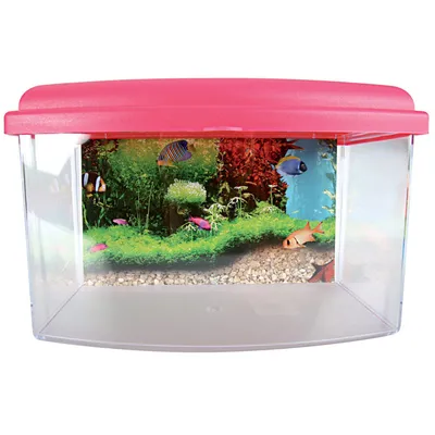 zolux - Aqua travel box II, Médium, taille 28 x 20 x H 17 cm, pour poisson