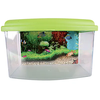 zolux - Aqua travel box II, Médium, taille 28 x 20 x H 17 cm, pour poisson