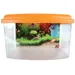 zolux - Aqua travel box II, Small, taille 22 x 16 x H 14 cm pour poisson