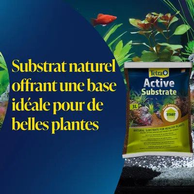 Tetra - Tetra Active Substarte 3 Litres croissance saine des plantes d'aqua