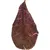 Catappa lot de 14 feuilles de badamier de plus de 20 cm