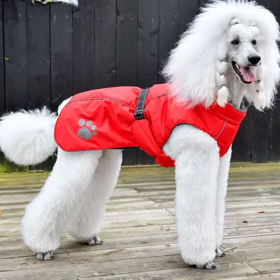 DOOGY SPORT Doudoune Nordique Imperméable
