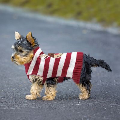 DOOGY CLASSIC Pull rayé rouge renne de Noël