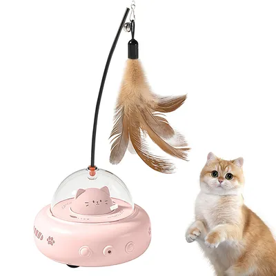 Jouet pour chat - Animal interactif - Autospin