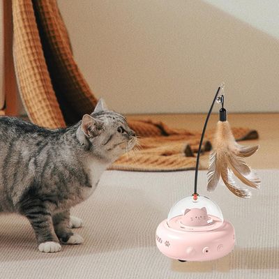 Jouet pour chat - Animal interactif - Autospin
