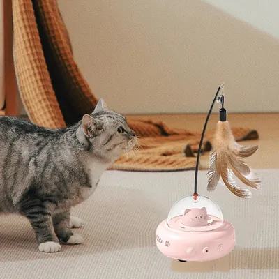 Jouet pour chat - Animal interactif - Autospin