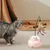 Jouet pour chat - Animal interactif - Autospin Jouet pour chat - Animal interactif - Autospin