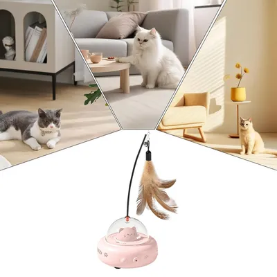 Jouet pour chat - Animal interactif - Autospin Jouet pour chat - Animal interactif - Autospin
