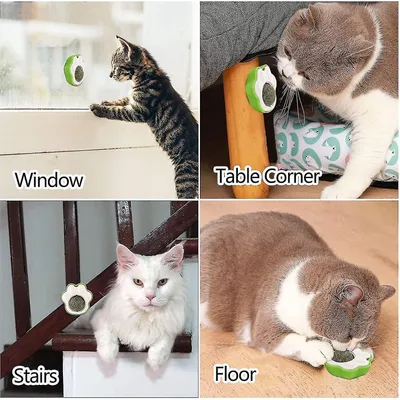 MCBOSON  Boules d'herbe à chat