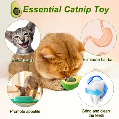 MCBOSON Boules herbe à chat, forme avocat pour chat