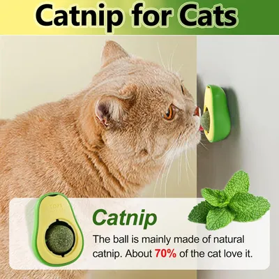 MCBOSON Boules herbe à chat, forme avocat pour chat