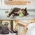 MCBOSON 3 PièCes Katzenmint Balls Jouet pour Chat