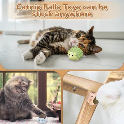 MCBOSON 3 PièCes Katzenmint Balls Jouet pour Chat
