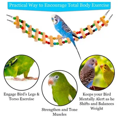 MCBOSON  Balançoire en bois pour oiseaux