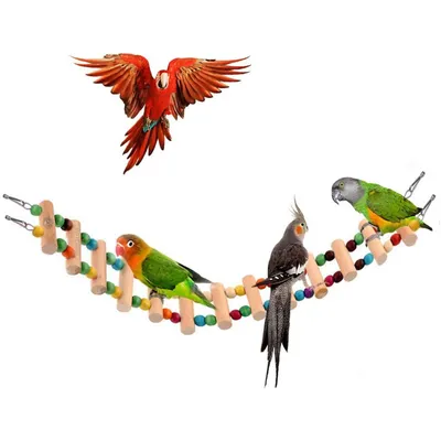 MCBOSON  Balançoire en bois pour oiseaux MCBOSON  Balançoire en bois pour oiseaux