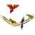 MCBOSON  Balançoire en bois pour oiseaux MCBOSON  Balançoire en bois pour oiseaux