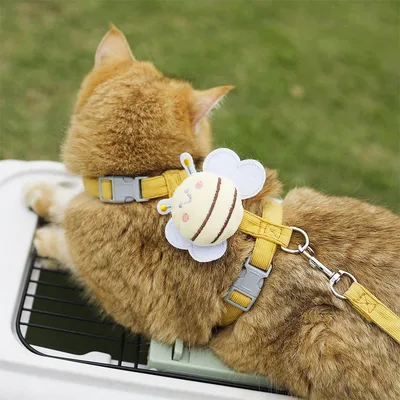 MCBOSON Hundeleine mit Geschirr und verstellbarem Halsband für kleine Hunde